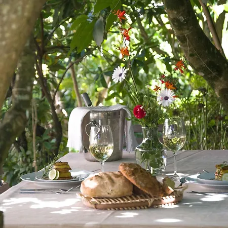 Solar Alegria * Ribeiradio