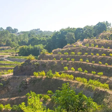 Villa Solar Alegria *