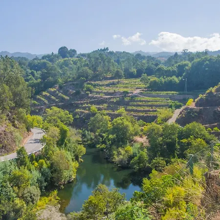 Solar Alegria Villa Ribeiradio