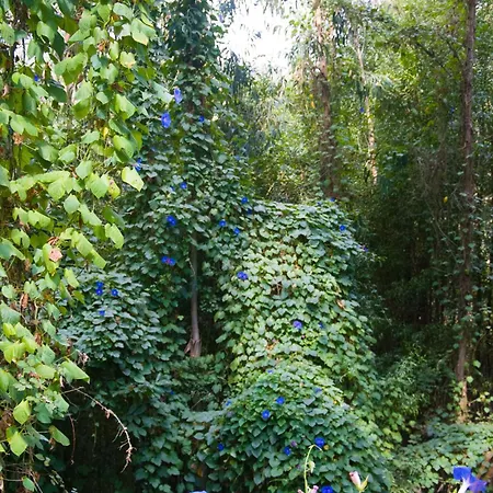 Solar Alegria Villa *