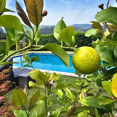 Solar Alegria Villa