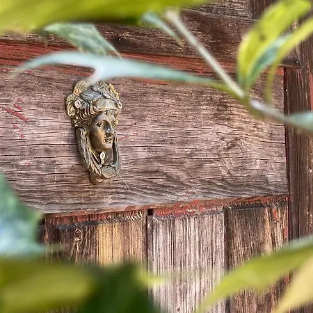 Solar Alegria Ribeiradio