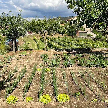 Solar Alegria Villa *