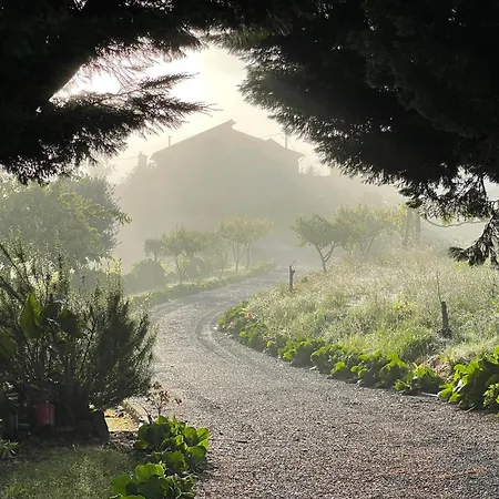 Solar Alegria * Ribeiradio