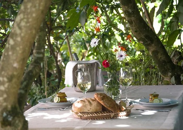 Solar Alegria * Ribeiradio