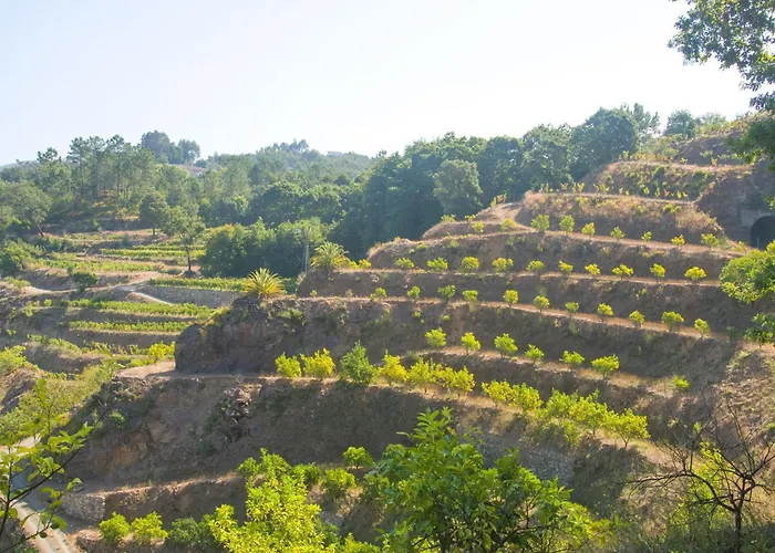 Villa Solar Alegria *