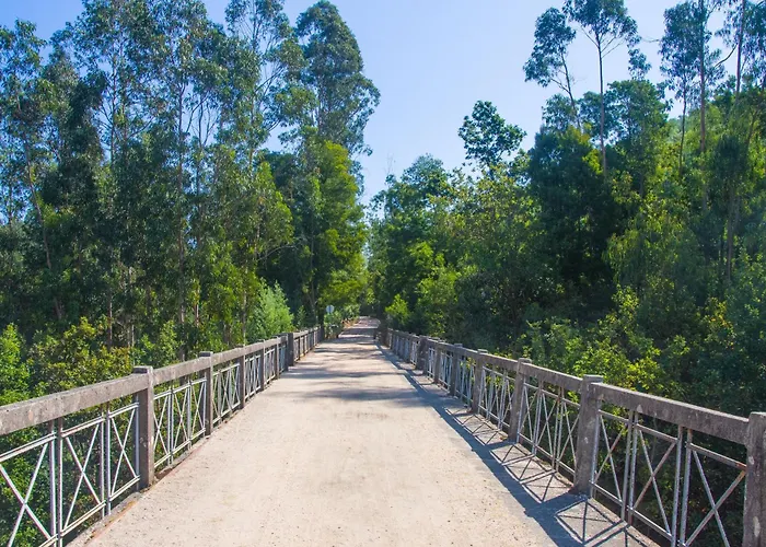 Villa Solar Alegria Ribeiradio