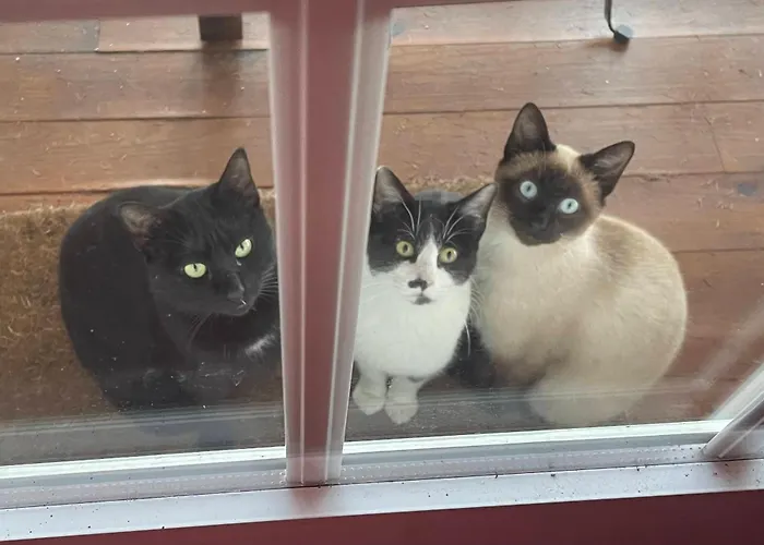 Villa Solar Alegria Ribeiradio