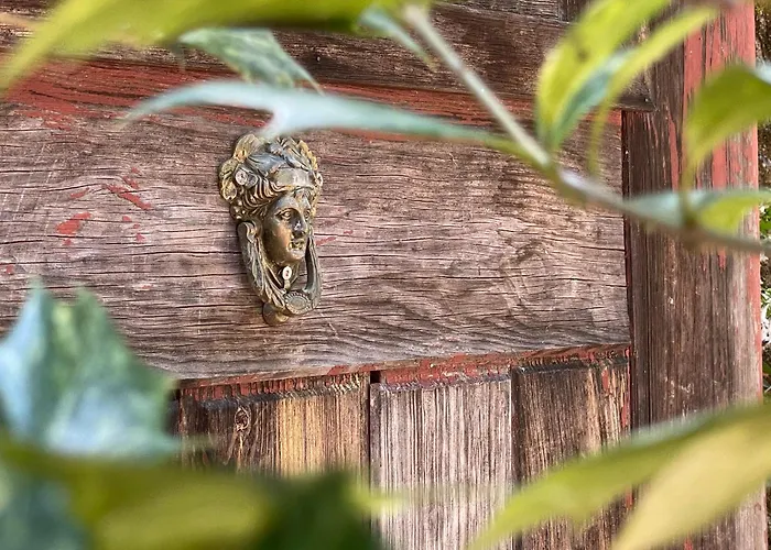 Solar Alegria Ribeiradio