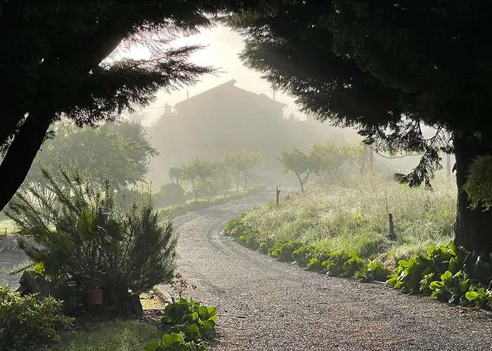 Solar Alegria * Ribeiradio